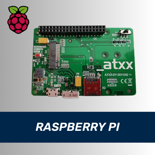 Raspberry Portfolio