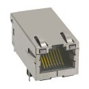 Bel Stewart - 0826-1G1T-23-F